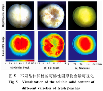 高光譜影像的鮮桃可溶性固形物含量預(yù)測(cè)模型